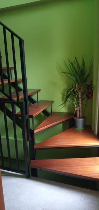 Apartment Coqueto Estudio *